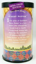 Harry Potter - Enesco - Mini Figurine with Story Scope - Quidditch Harry Potter