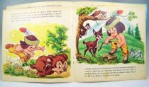Hiawatha le Petit Indien - Livre-disque 33t1/3 (format 45t) - Histoire racontée par Marthe Mercadier - Disneyland Record 1969