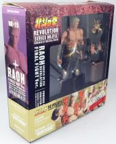 Hokuto no Ken le Survivant Revolution - Raoh \ Final Fight Ver.\  - Kaiyodo Revoltech