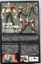 Hokuto no Ken le Survivant Revolution - Zeed - Kaiyodo Revoltech