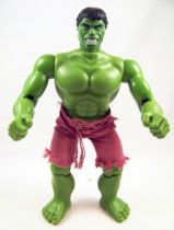 Hulk - Mego World\'s Greatest Super-Heroes - Hulk 30cm (Loose) 01