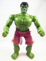 Hulk - Mego World\'s Greatest Super-Heroes - Hulk 30cm (occasion) 01