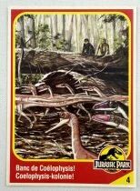 Jurassic Park - Trading Card Kenner 1993 (France / Benelux) - #04 Coelophysis