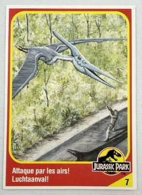 Jurassic Park - Trading Card Kenner 1993 (France / Benelux) - #09 Pteranodon