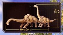 Jurassic World - Mattel - Hammond Collection Brachiosaurus