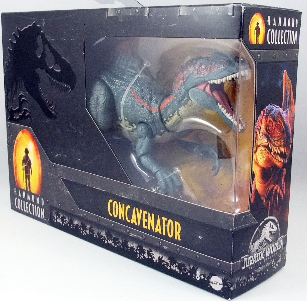 Mattel Jurassic World Lost World : Jurassic Park Hammond Collection Figurine  de dinosaure concavenator avec articulation de luxe 30,5 cm : :  Jeux et Jouets