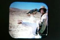 Kung Fu (TV S&eacute;ries) - 3 x View-Master Discs Set Loose Ref. B 598 -F