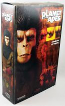 La Planète des Singes - Sideshow Collectibles - Figurine 30cm Cornelius