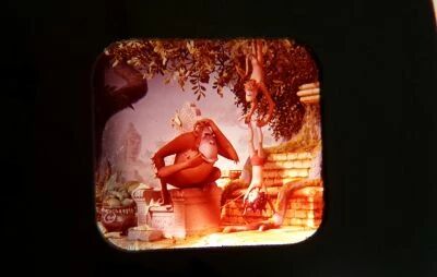 Le Livre de la Jungle - 3 Disques View-Master 3D sans Pochette R�f. B 363-F