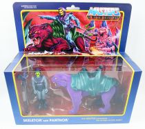 Les Maitres de l\'Univers - Figurine 10cm Super7 - Skeletor & Panthor