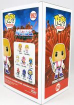 Les Maitres de l\'Univers - Figurine vinyle Funko POP! - Prince Adam #992