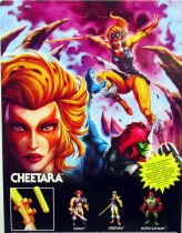 Les Maitres de l\'Univers : MOTU X Thundercats - Cheetara
