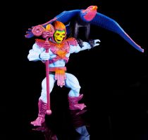 Les Maitres de l\'Univers Origins - Skeletor & Screeech / Skeletor & Glator