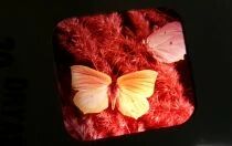 Les Papillons - 3 Disques View-Master 3D sans Pochette R&eacute;f. D 117-F