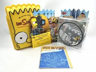 Les Simpson - DVD - L\'int�grale de la Saison 10 Edition Collector