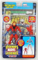 Marvel Legends - Ant-Man - Serie Giant-Man (Wal-Mart Exclusive) - ToyBiz