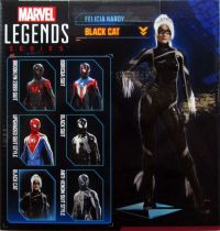 Marvel Legends - Felicia Hardy \ Black Cat\  (Spider-Man 2) - Series Hasbro (Gamerverse)