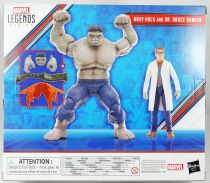 Marvel Legends - Grey Hulk & Dr. Bruce Banner (Avengers Beyond Earth\'s Mightiest) - Série Hasbro