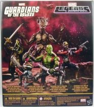 marvel_legends___guardians_of_the_galaxy__star_lord__gamora__drax__groot__rocket_raccoon__2_