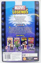 Marvel Legends - Hulk - Série 1 - ToyBiz