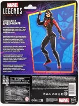 Marvel Legends - Jessica Drew Spider-Woman (Spider-Man 1994 Animated Series) - Series Hasbro