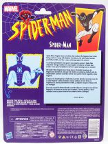 Marvel Legends - Negative Zone Spider-Man (Spider-Man 1994 Animated Series) - Série Hasbro