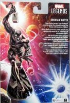 Marvel Legends - Obsidian Surfer (Silver Surfer) - Serie Hasbro
