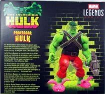 Marvel Legends - Professor Hulk (The Incredible Hulk) - S&eacute;rie Hasbro