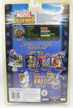 Marvel Legends - Storm - Series 8 - ToyBiz