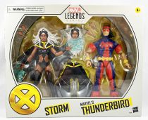 Marvel Legends - Storm & Thunderbird - Serie Hasbro