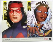 Marvel Legends - Storm & Thunderbird - Serie Hasbro