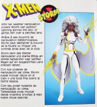 Marvel Legends - Storm (X-Men Animated) - Series Hasbro