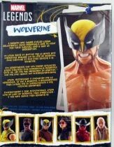 Marvel Legends - Wolverine \ Shirtless\  (Deadpool & Wolverine Movie) - Series Hasbro