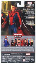 Marvel Legends - Zombie Hunter Spidey - Serie Hasbro (The Watcher)