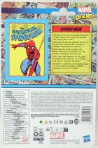 Marvel Legends Retro Collection - Kenner - The Spectacular Spider-Man
