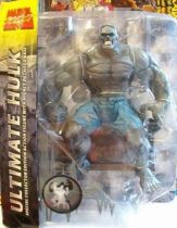 Marvel Select - Ultimate Hulk