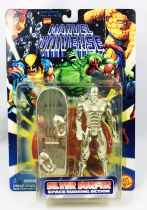 Marvel Universe - Toy Biz - Silver Surfer