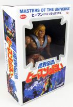 Masters of the Universe - He-Man \ Japan Box\  (Filmation New Vintage) - Super7