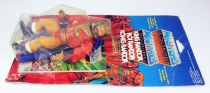 Masters of the Universe - King Randor / Roi Randor (carte Europe)