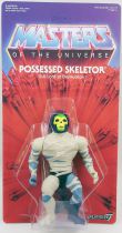 Masters of the Universe - Possessed Skeletor (carte USA) - Super7