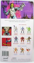 Masters of the Universe - Possessed Skeletor (carte USA) - Super7