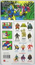 Masters of the Universe - Tung Lashor / Venimor \ regular head\  (carte USA) - Barbarossa Art