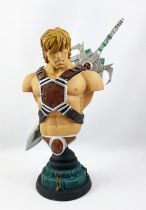 Masters of the Universe 200X - Neca - He-Man Mini-Bust