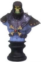 Masters of the Universe 200X - Skeletor Micro-bust