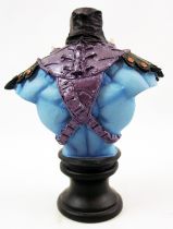 Masters of the Universe 200X - Skeletor Micro-bust