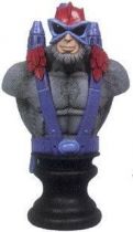 Masters of the Universe 200X - Stratos Micro-bust