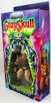 Masters of the Universe Origins - Gray \ The Powers of GraySkull\  (Version USA)