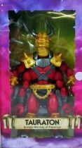 Masters of the Universe Origins - Tauraton \ The Powers of GraySkull\  (Version USA)