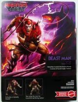 Masters of the Universe Origins 2026 Movie - Beast Man