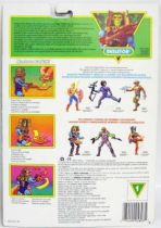 MOTU New Adventures of He-Man - Discs of Doom Skeletor (Europe card)